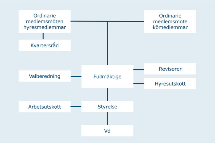 Schematisk bild av föreningsorganisationen
