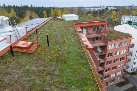 Grönt tak på kvarteret Docenten i Rosendal, Uppsala