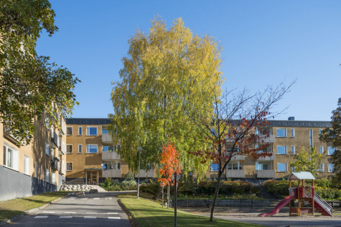Kvarteret Sigbardiorden i Bredäng. Innergård med träd med höstlöv och lekpark.