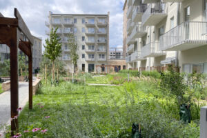 Innergården i kvarteret Torshamn i Kista Äng