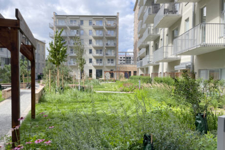 Innergården i kvarteret Torshamn i Kista Äng