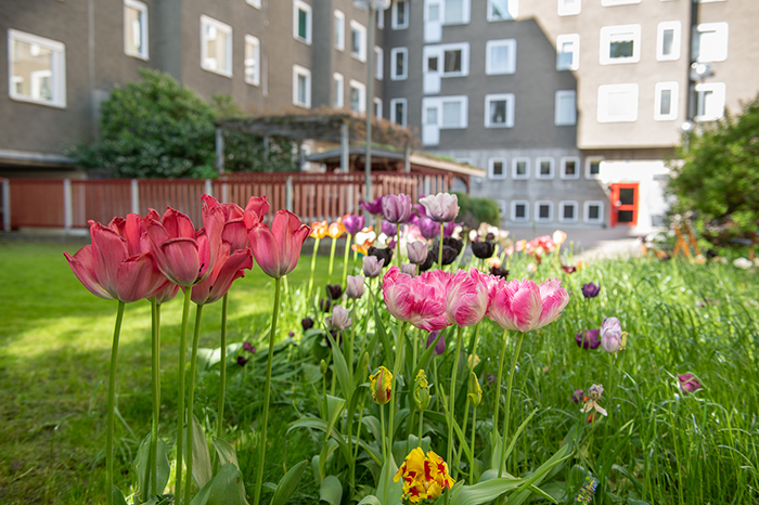 Kvarteret Bjälken på Södermalm